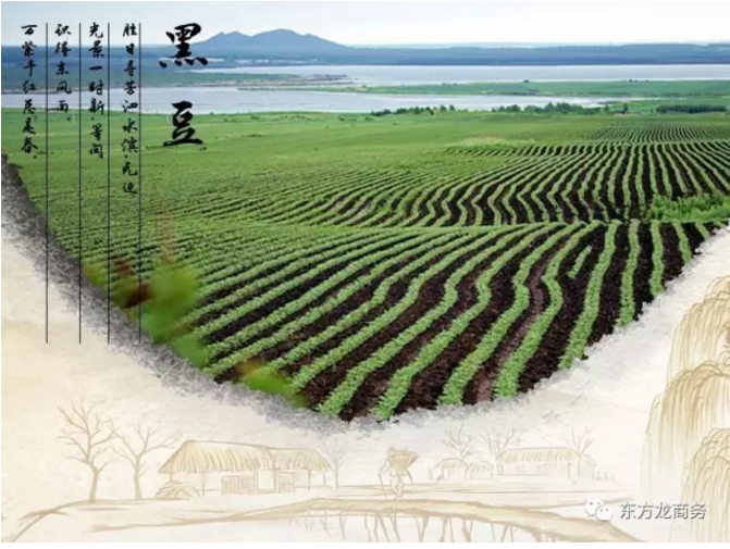 黑豆養生小鎮全國布點投資選址項目 黑豆養生小鎮全國布點投資選址項目