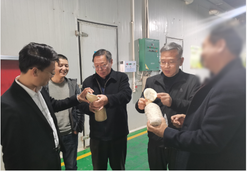 合作邁出堅實一步！集團推進3家優質投資選址企業精準對接地方政府