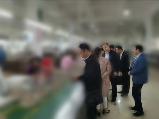 瞄準靶心，精準發力！河北某地方政府成功對接考察亞洲500強鞋服品牌投資選址項目企業