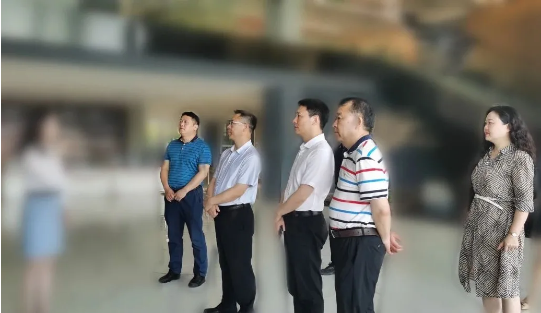 專業服務，助推政企聯動！湖北某地方政府成功對接考察多功能家具生產投資選址項目企業