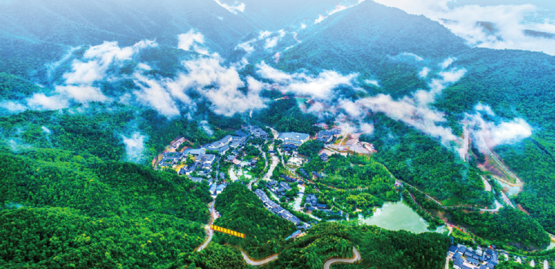 集團全力助推黑龍江省同江市委托招商引資，充分挖掘開發(fā)潛能，再次綻放邊陲魅力