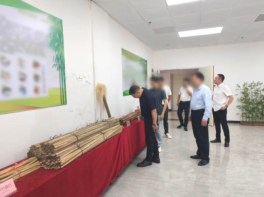 研發實力雄厚，行業知名度高！湖南某地方政府實地對接高附加值竹纖維生產擴建投資選址項目